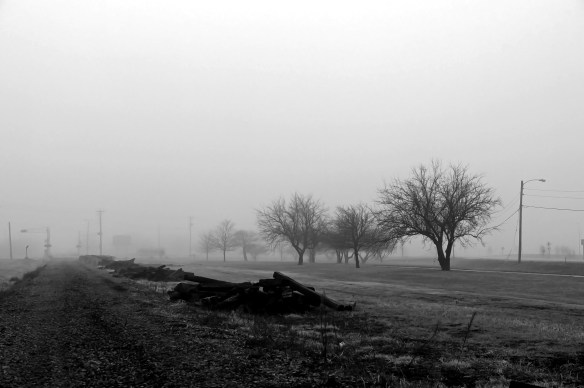 absent the pretty paint of leaves