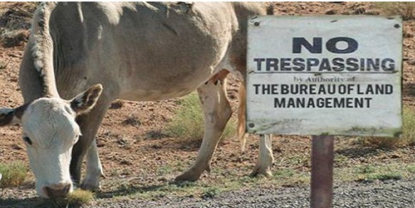 bundy no trespassing