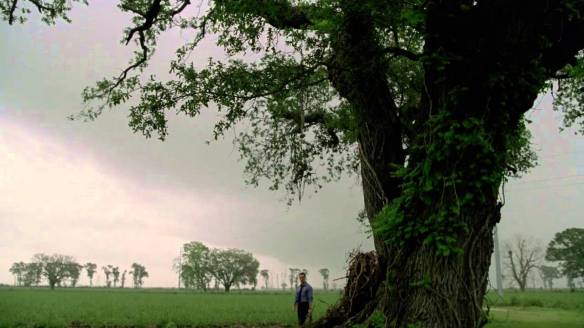 true detective tree2