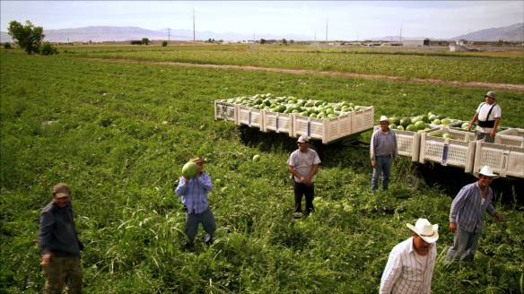 Watermelon terrorists, for the love of Jeebus, won't somebody DO something?