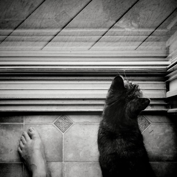 end of summer part 3