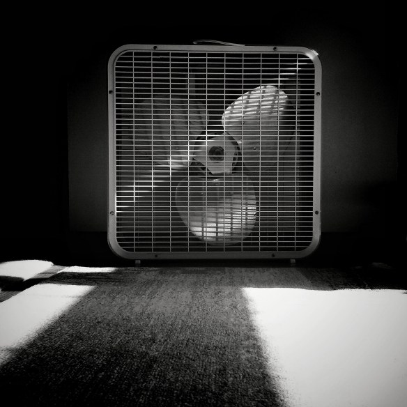 end of summer, part 2