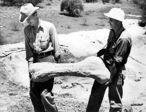 WPA - collecting fossils in Texas.
