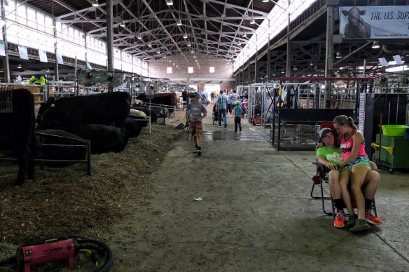 Canoodling in the barns.
