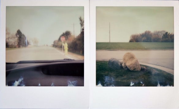 First two shots with the Polaroid 660