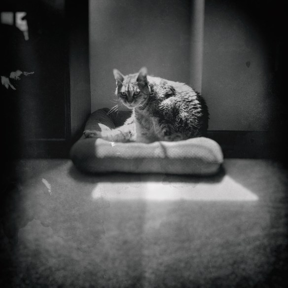 Maybe about to bite, maybe not, who knows?