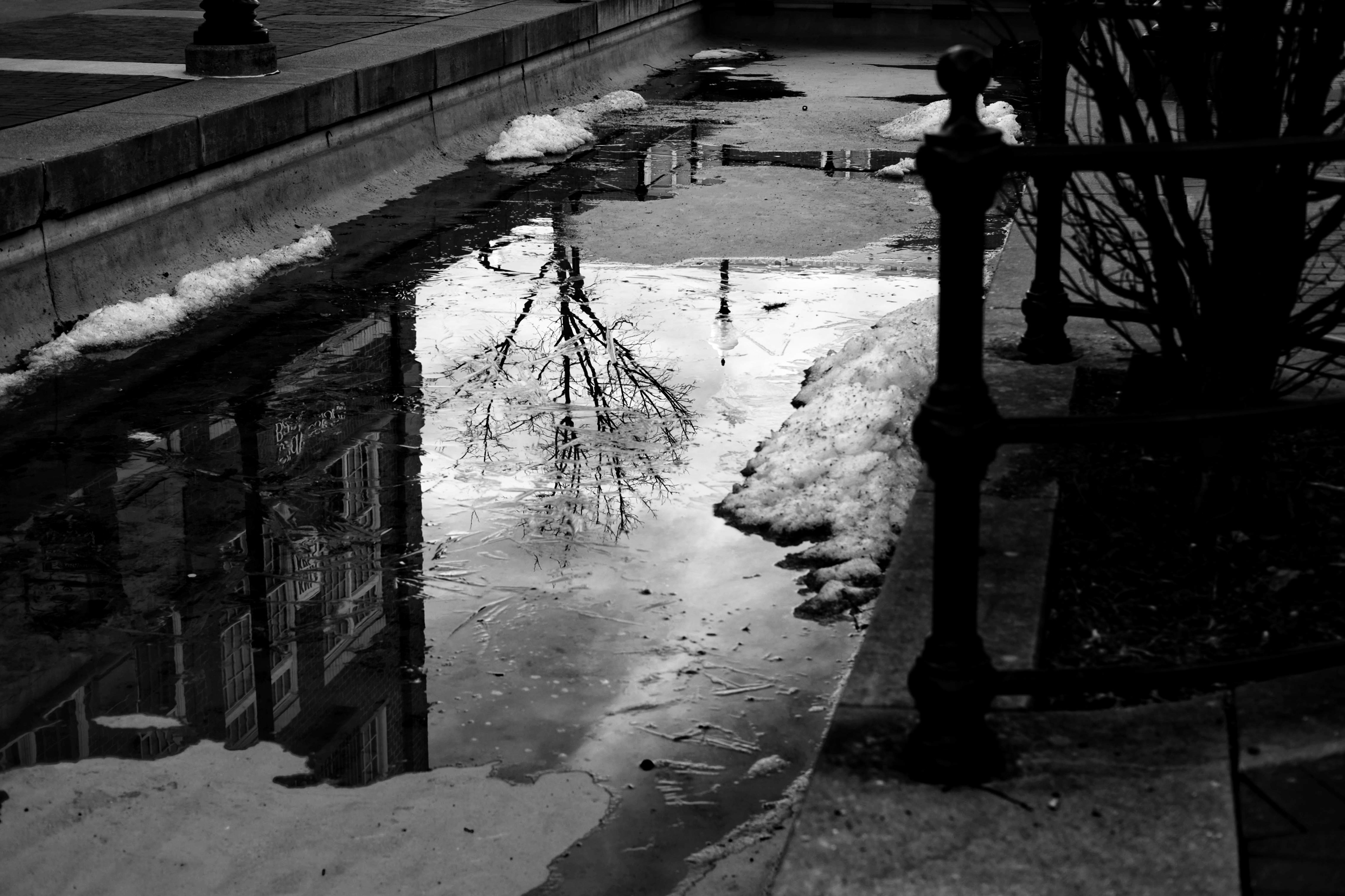 one lens, monochrome | gregfallis.com